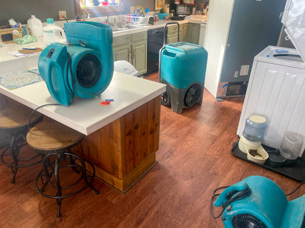Best Basement water damage restoration  in Estacada, OR