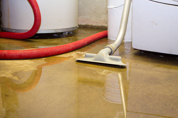 , OR Water damage restoration Company