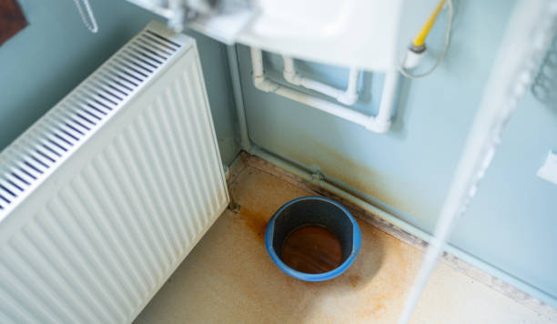 Best Local water damage restoration  in Estacada, OR